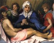 Andrea del Sarto Lamentation of Christ USA oil painting artist